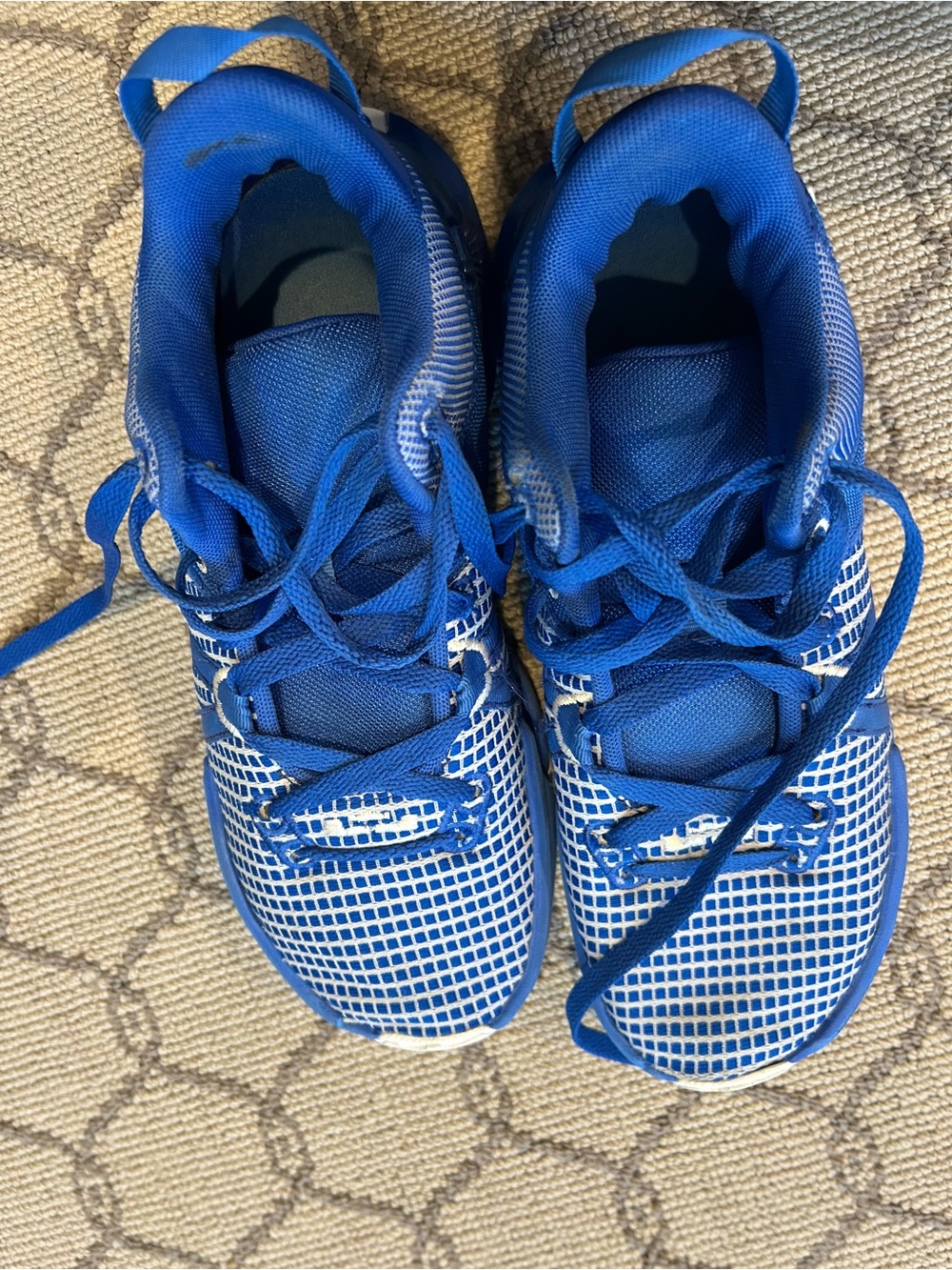 Kids Blue Nike Basketball Sneakers - Lightweight Comfort